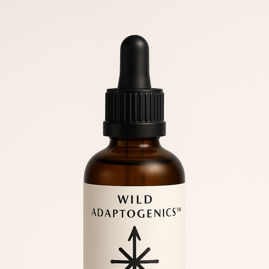 WILD FOCUS™ – Konzentration & mentale Sammlung